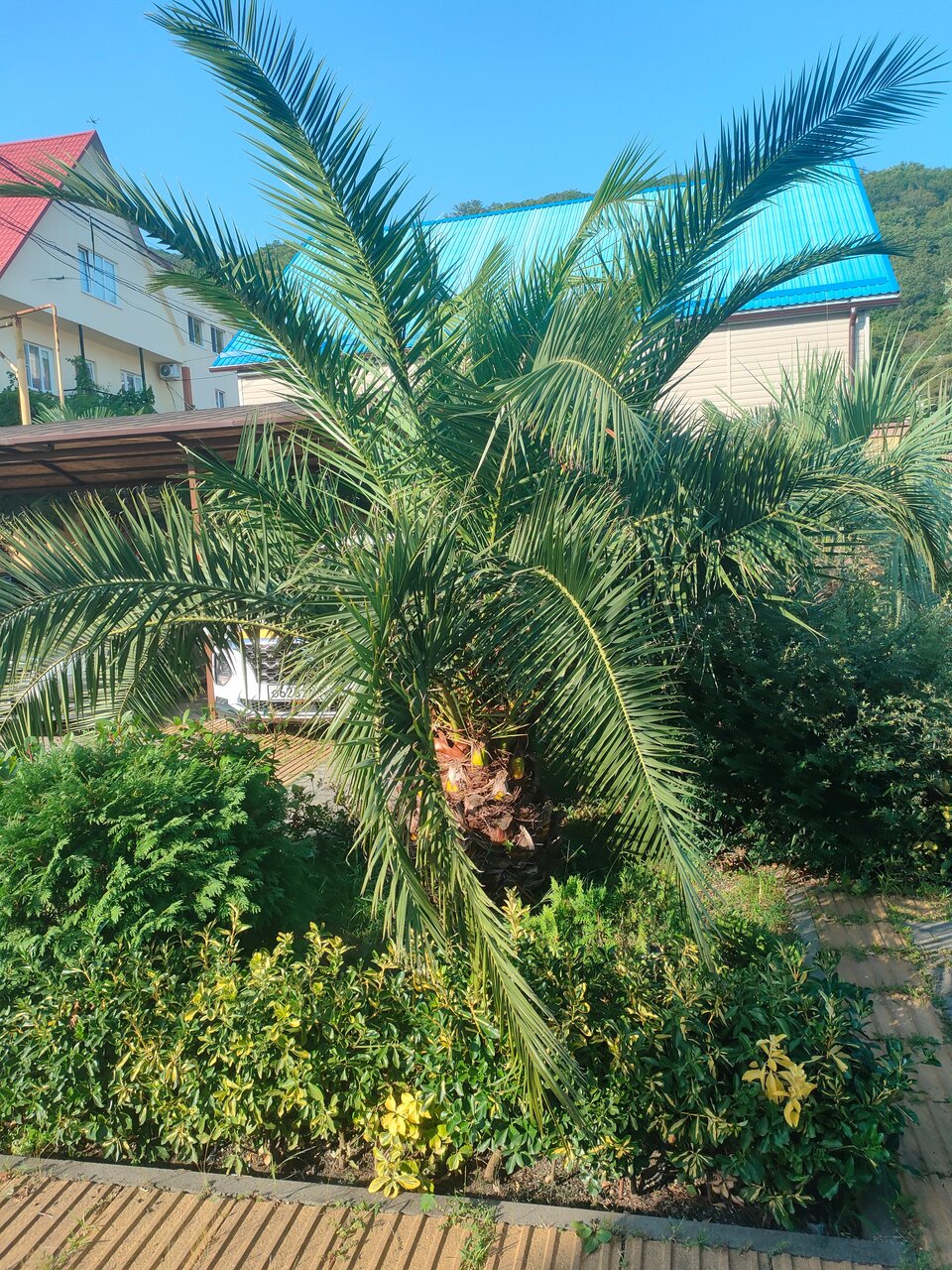 Гостиница Оллета Лазаревское-49