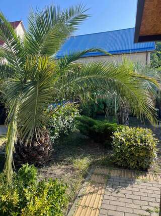 Гостиница Оллета Лазаревское-5