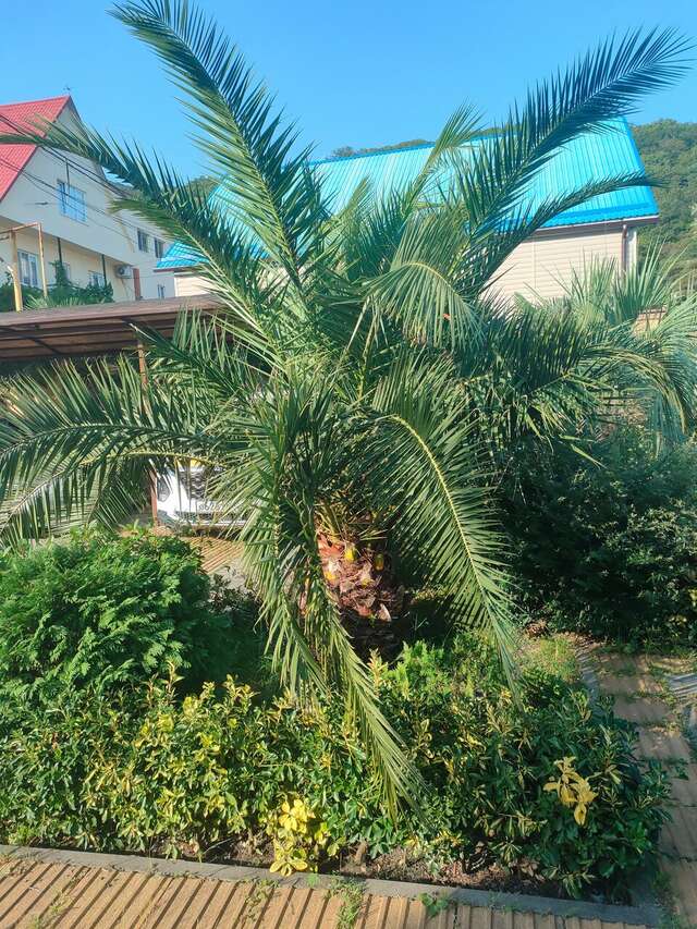 Гостиница Оллета Лазаревское-48