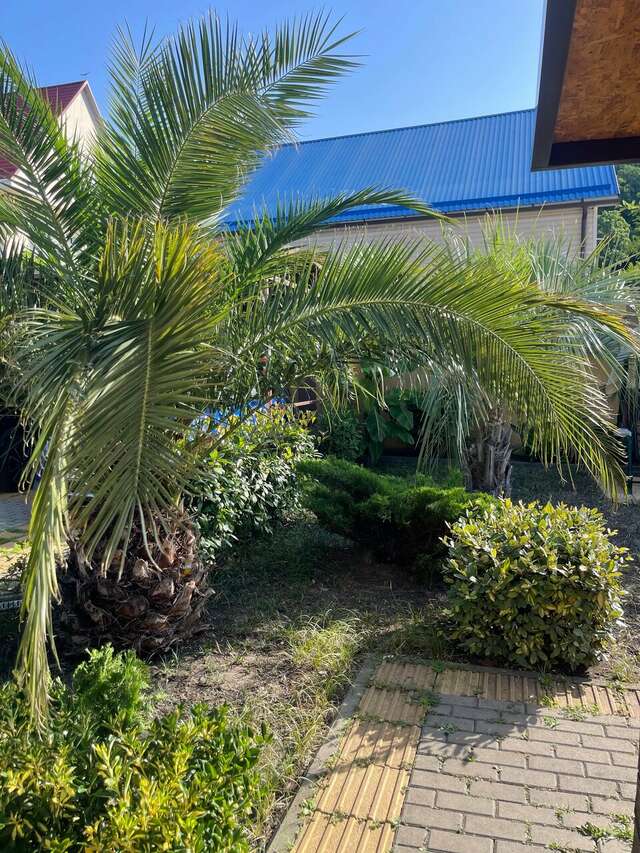 Гостиница Оллета Лазаревское-8